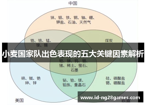 小麦国家队出色表现的五大关键因素解析