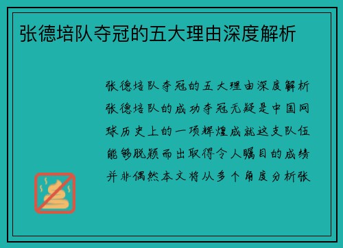 张德培队夺冠的五大理由深度解析